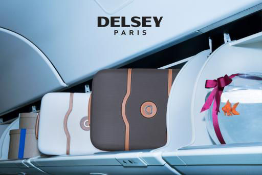 Delsey Luggage
