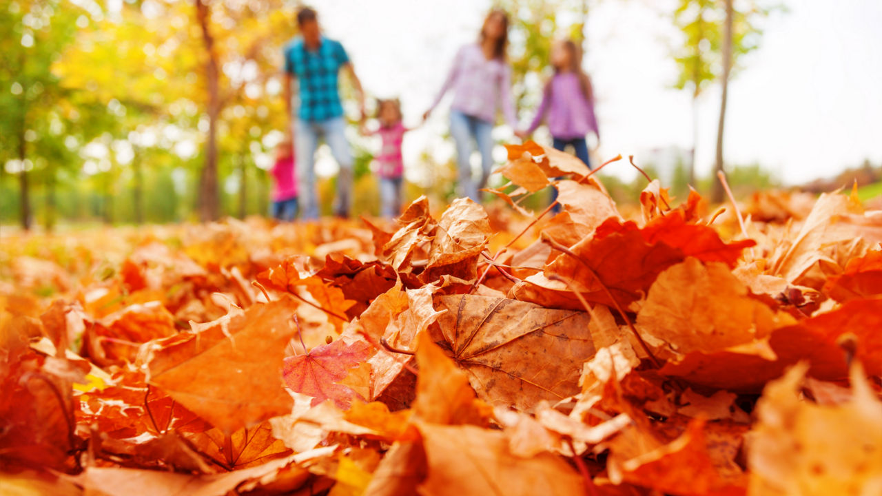 Fall Discounts with AAA