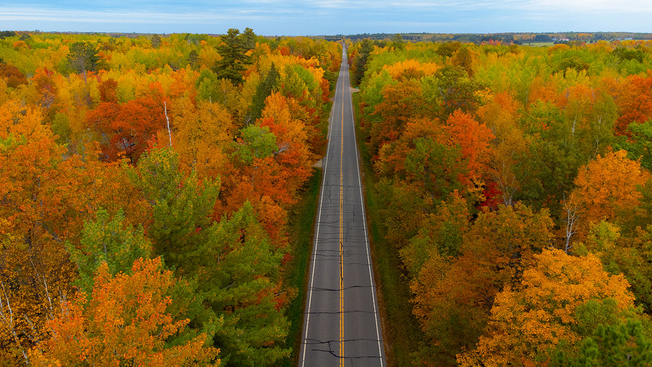 A road with trees covered in fall colored leaves on both sides of the road.