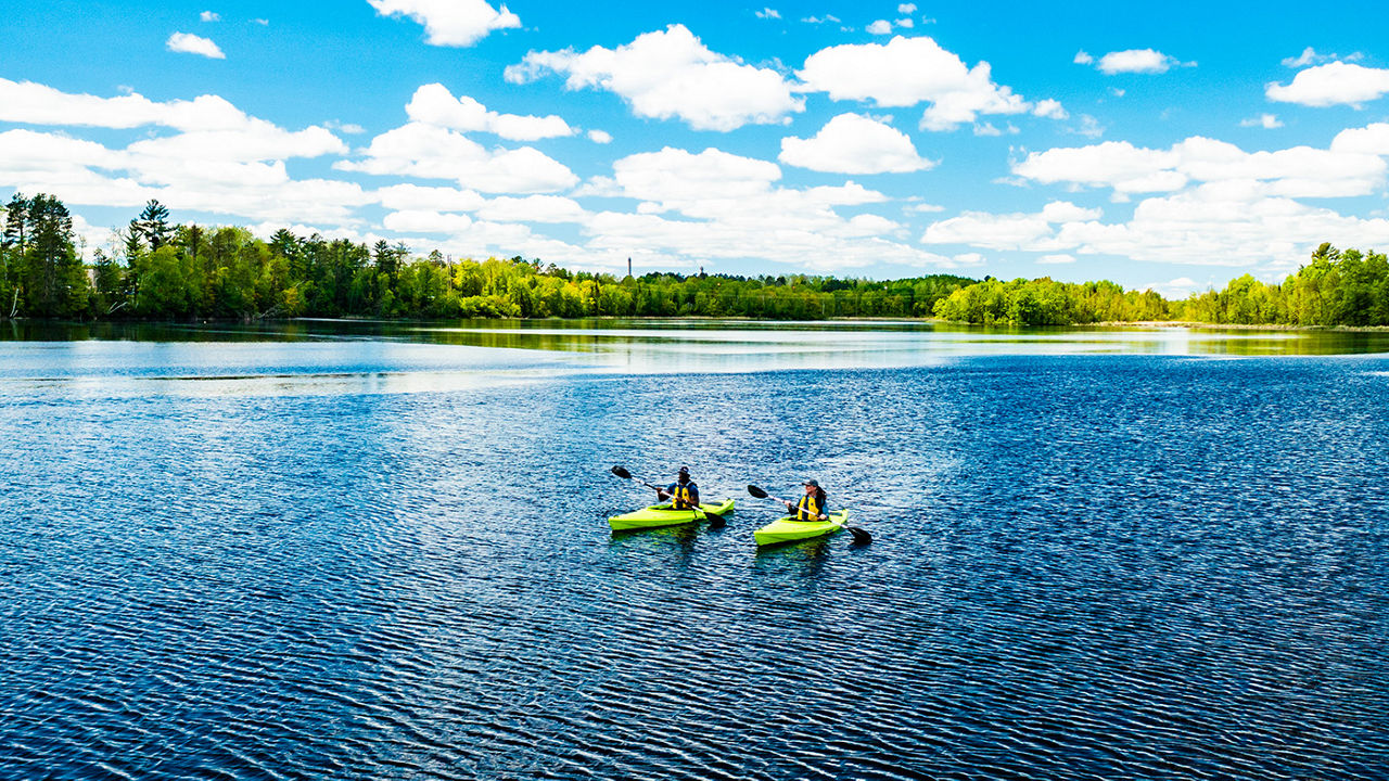 Two people in bright green kayaks on a lake with trees along the shore.