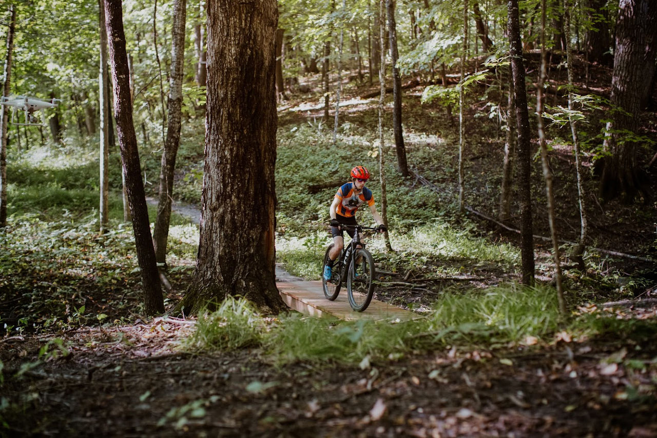 Person on a mountain bike riding on a trail through the woods.