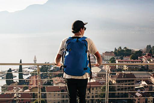 Pacsafe Antitheft Secure Luggage and Backpacks