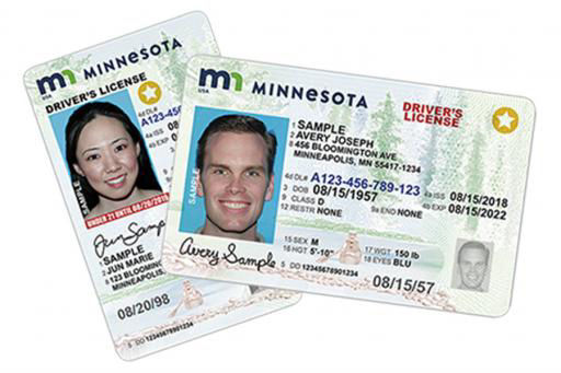 Minnesota License Renewals