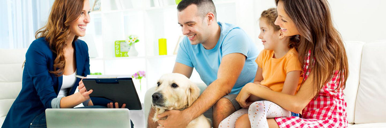 Insurance for Weddings, Dental, Pet, Health, Accident Protection and More