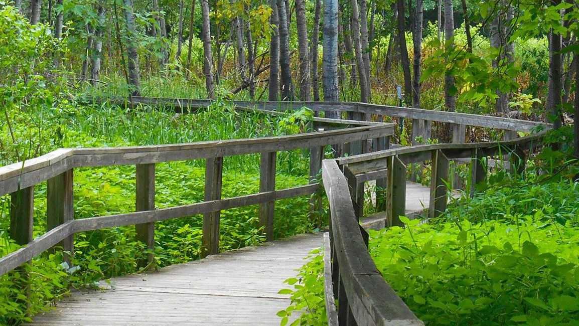 A wood boardwalk through a park in Minnesota