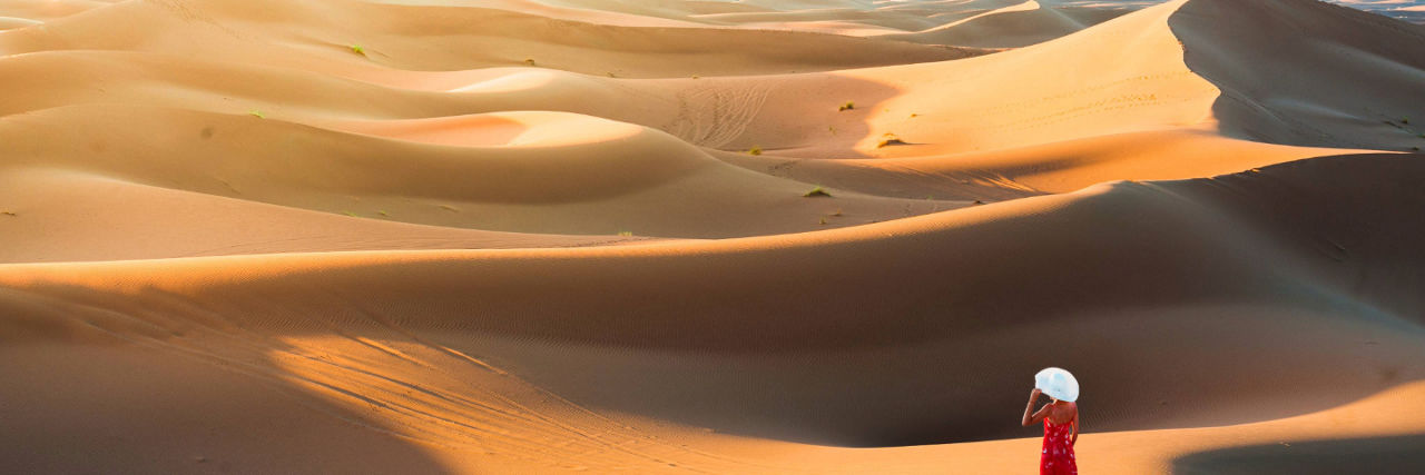Splendors egypt