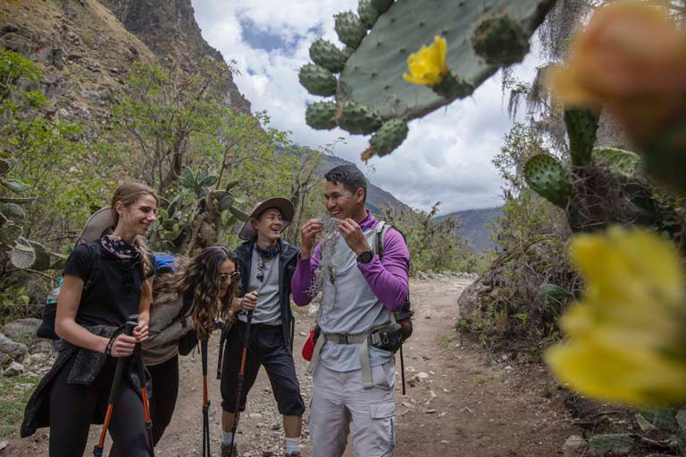 Group trekking through high-altitude Peruvian mountains with blooming cacti and dramatic peaks