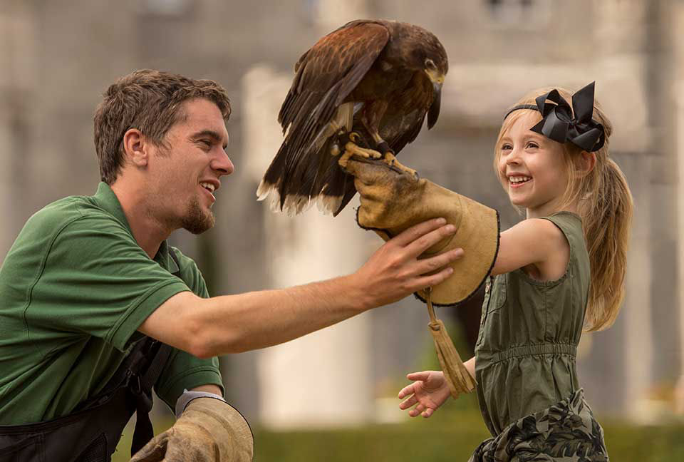 Instructor in ireland helping little girl with blonde hair hold a hawk.