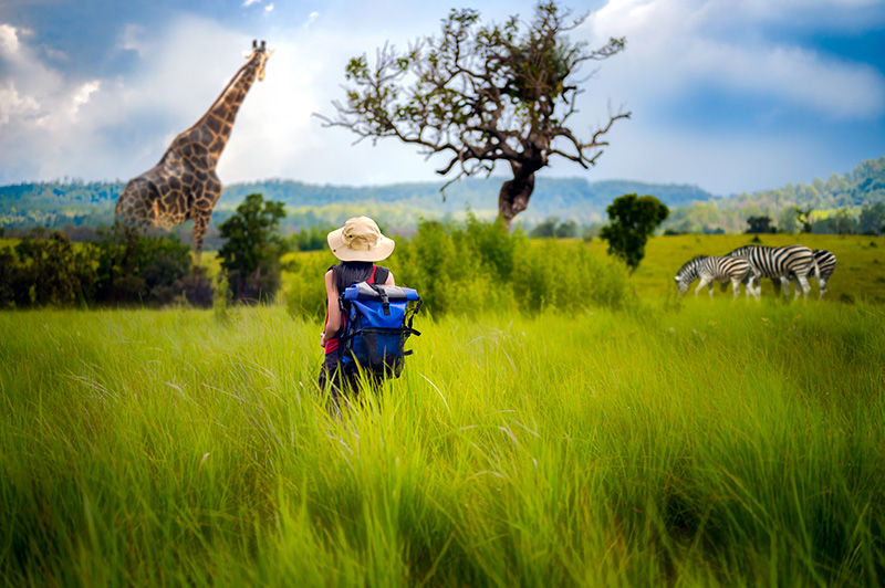 A person watching an elephant through binoculars in the grassy fields of Africa
