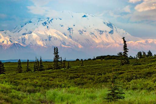 Denali National Park in Alaska