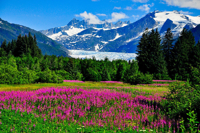 Alaska scenery.