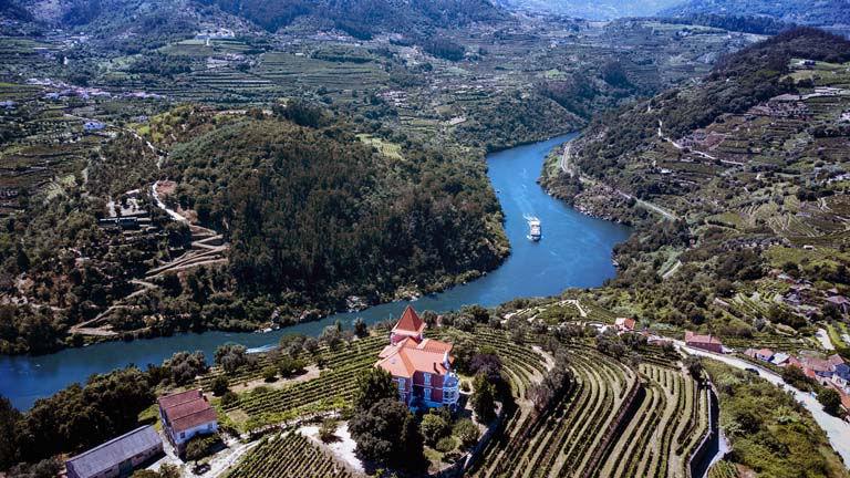 Aerial view of the Douro River curving through vineyard-covered hills in Portugal.
