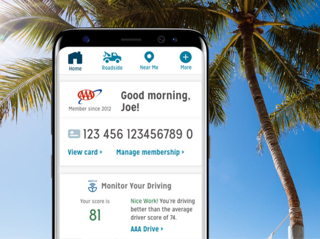 using the mobile app to book travel with palm tree in background
