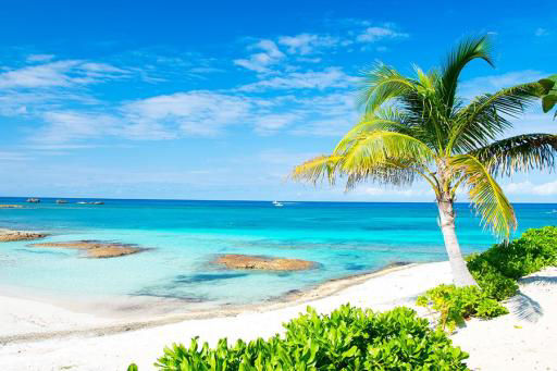 Beach in the Bahamas