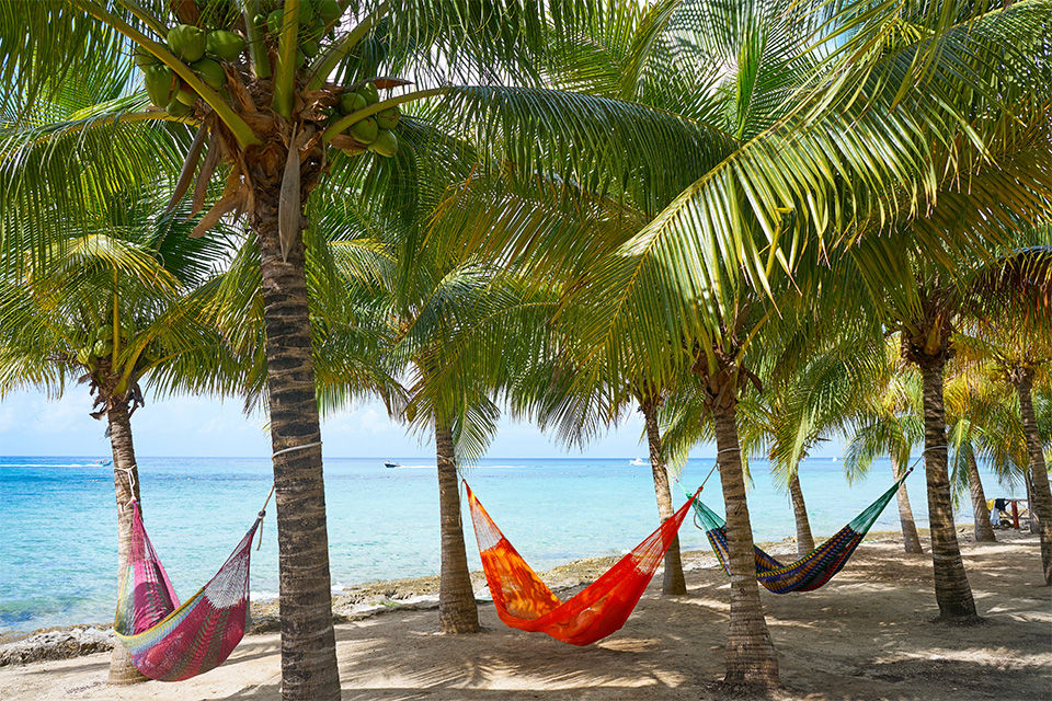 Beach hammocks. Beautiful turquoise ocean water can be seen in the background. 