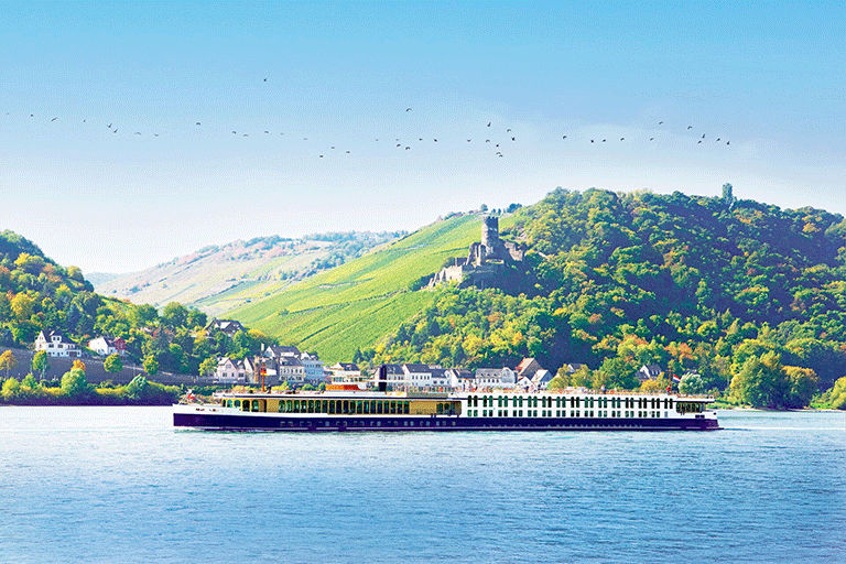 Best of Rhine river cruise