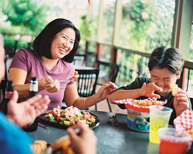 Family dining at busch gardens with an outside view.