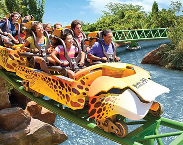 Group rides a roller coaster in a cart shaped like a cheetah.