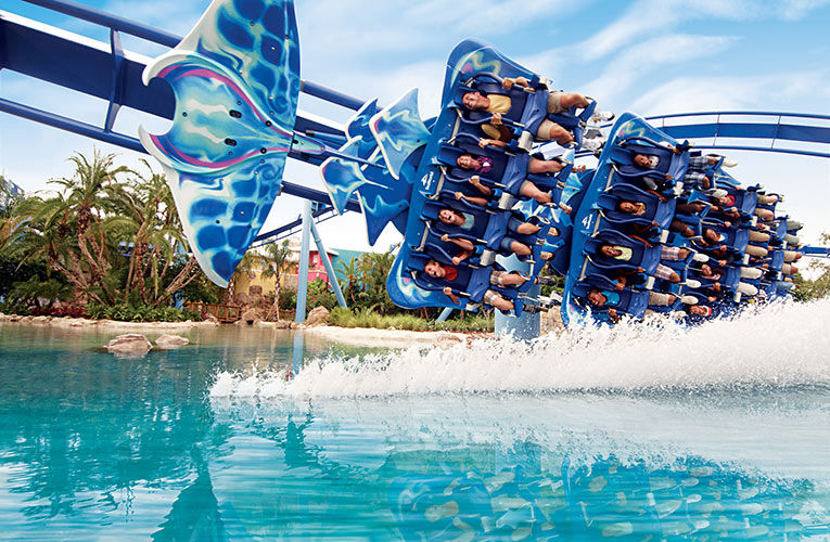 Busch Gardens SeaWorld Roller Coaster