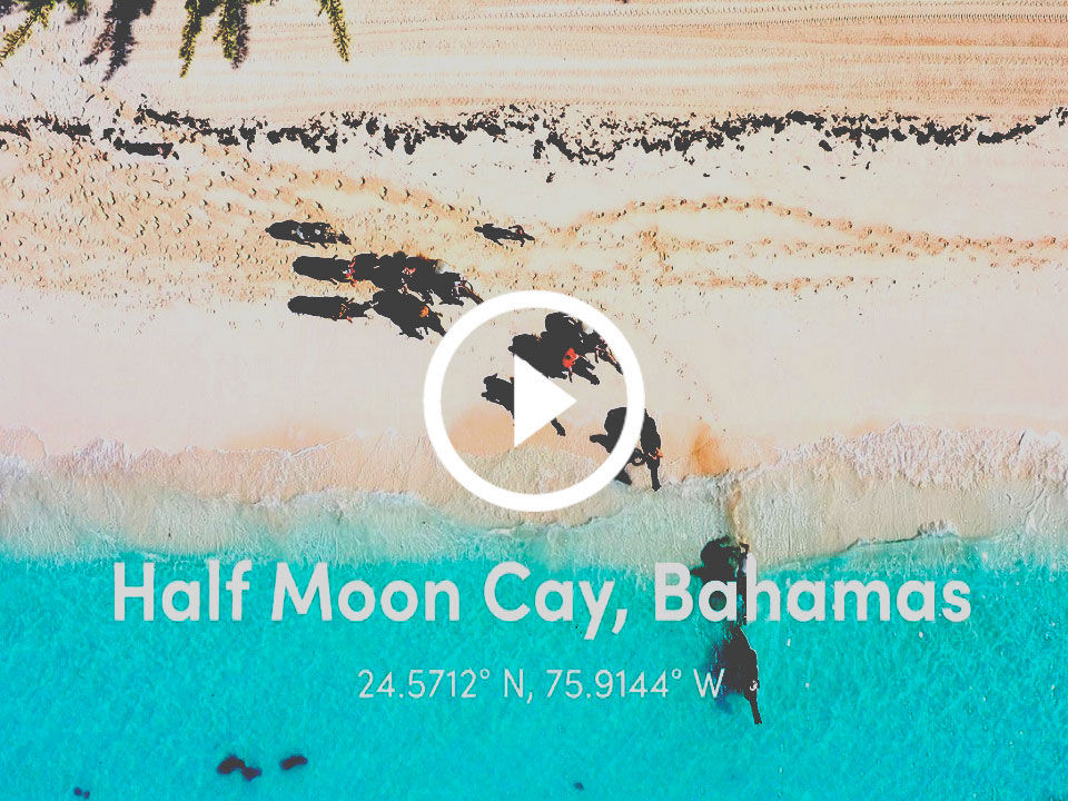 Half Moon Cay, Bahamas.