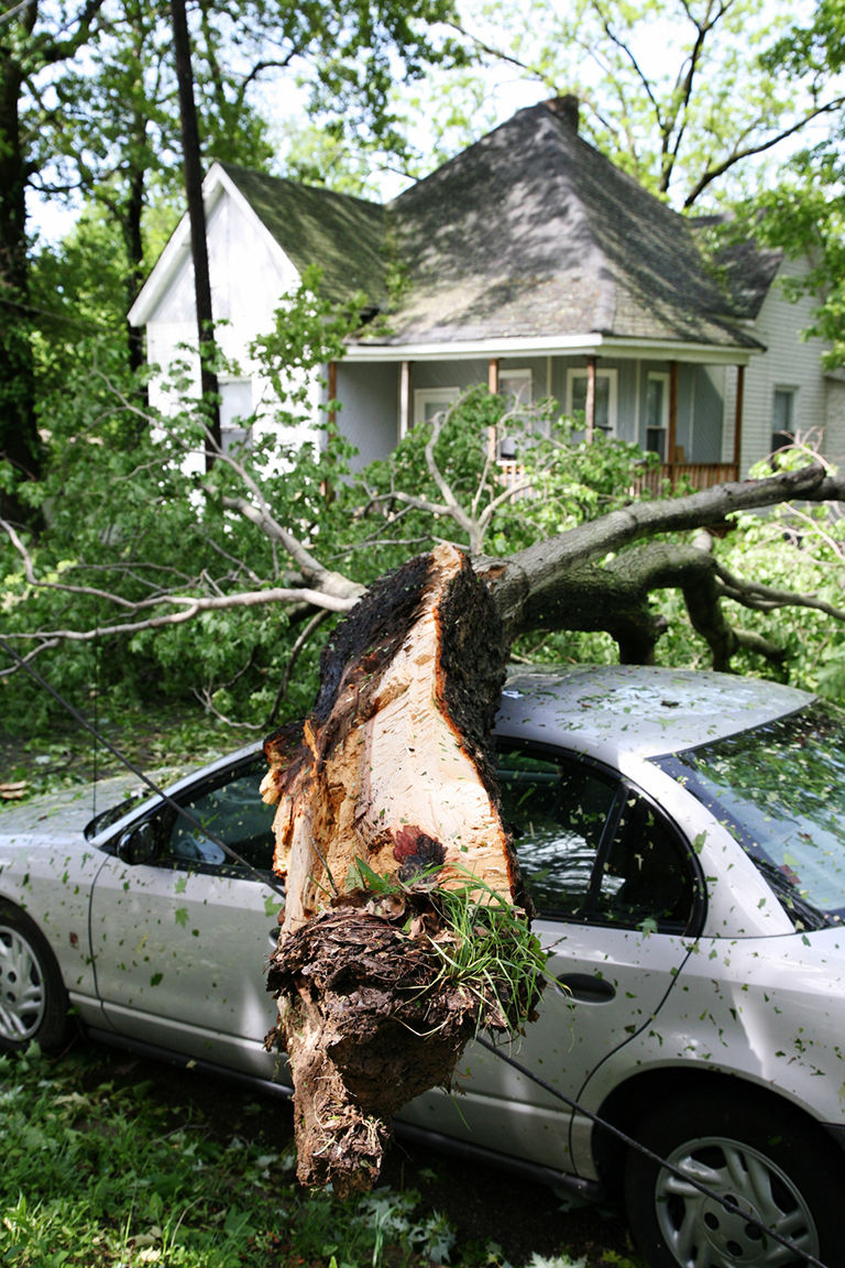 Tree on top of car, depicting comprehensive car insurance coverage incidents