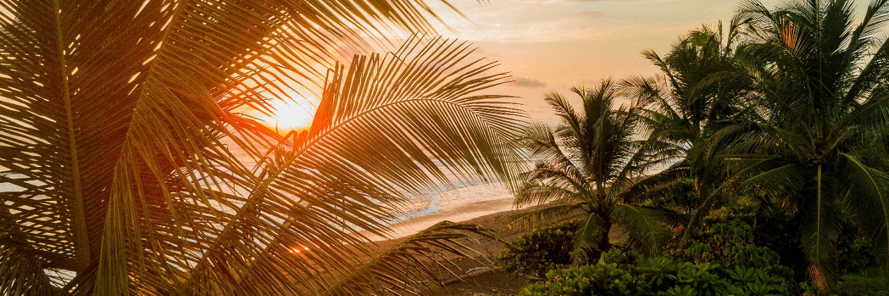 Palm Trees and beach in Costa Rica