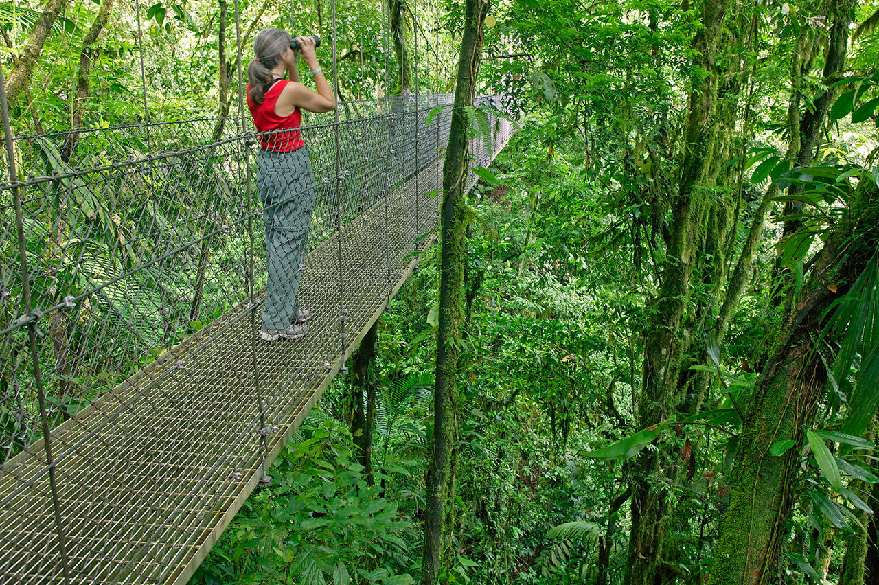 Hanging Bridge in Costa Rica