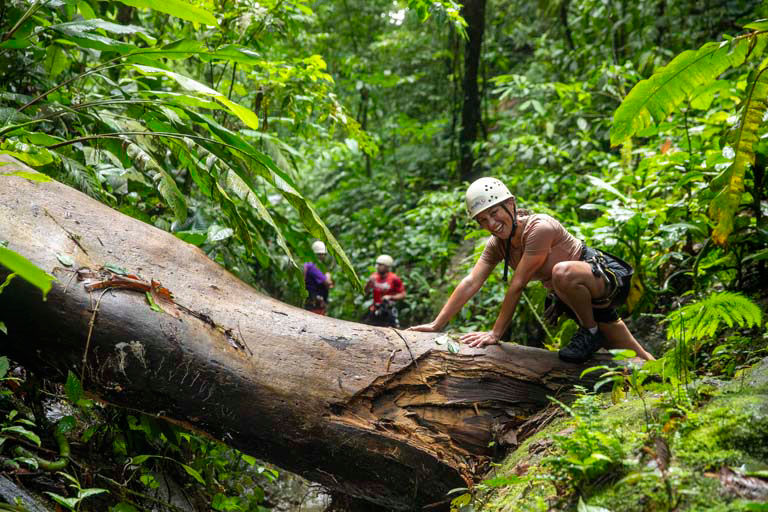 Hiker in safety helmet climbing over fallen log in dense rainforest