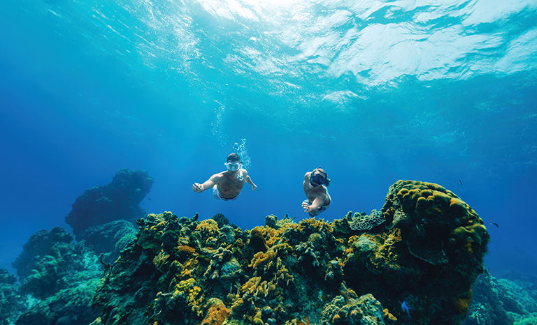 Snorkeling couple, Cozumel. 