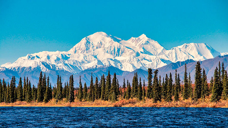 Denali National Park