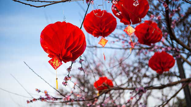 Bright red paper lanterns hang from the trees.