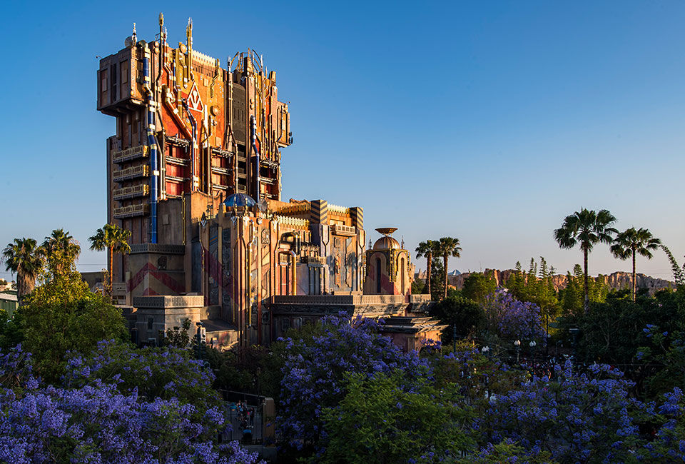 Disneyland ride set in the background with purple flowers sneaking into the frame at the start if sunset.