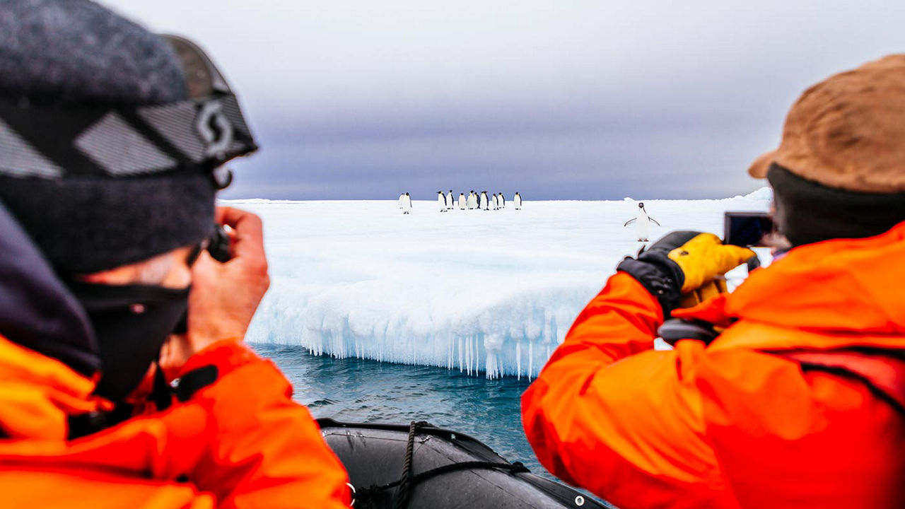 eye-opening-vacation-experiences-antarctica penguins