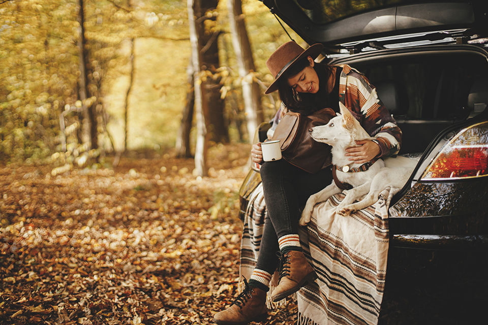 Woman on road trip parked in the woods enjoying a break with her dog 