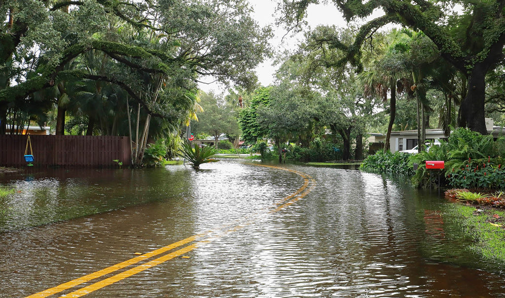 Street flood from a tropical storm.