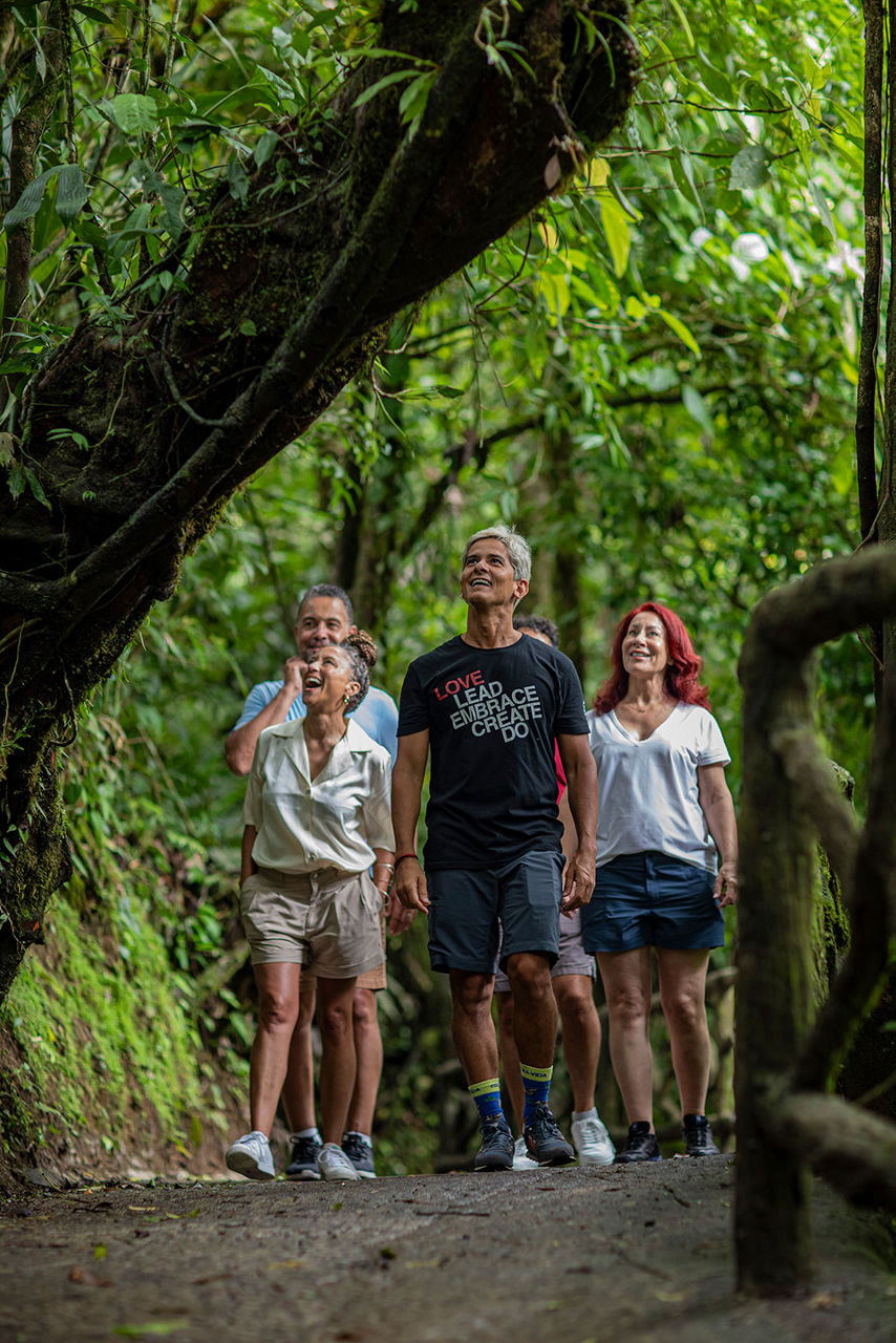 Group of travelers looking up at wildlife in lush rainforest canopy framed by moss-covered trees in Costa Rica
