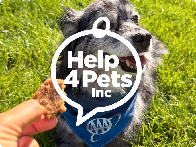 Help 4 Pets