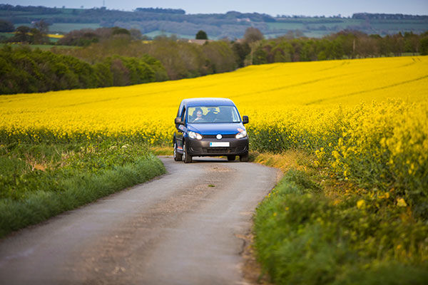 A car drives through a winding road with bright yellow flowers.