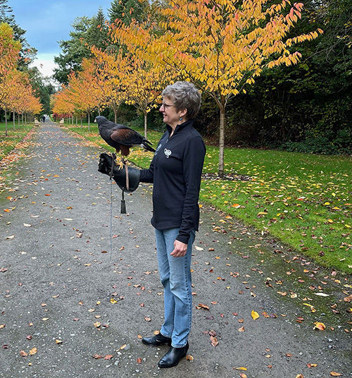 Debbie Haas in Ireland enjoying a hawk walk. She's seen in the picture with a large hawk on her gloved hand.