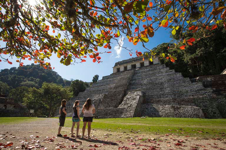 Visitors exploring ancient stone pyramid surrounded by jungle in Mexico