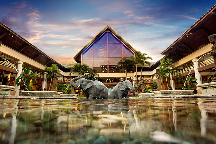 Two statues of elephants play in the water at loews royal pacific resort during sunset.