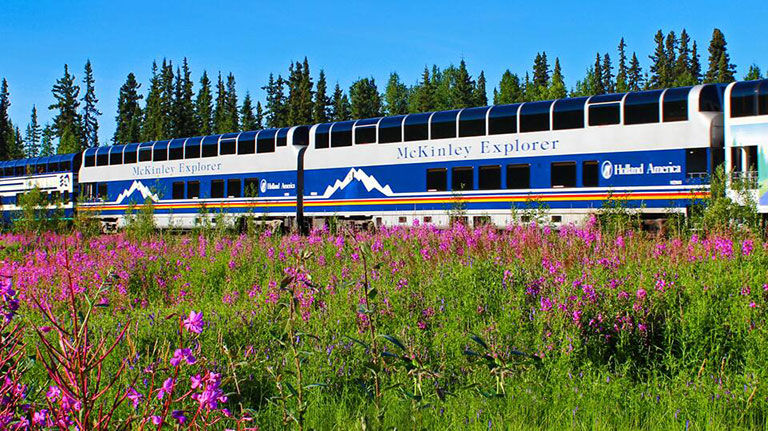 train on a scenic route