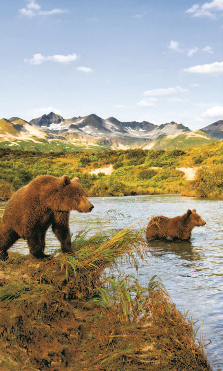 A couple seen from behind looking at snow-capped mountains 