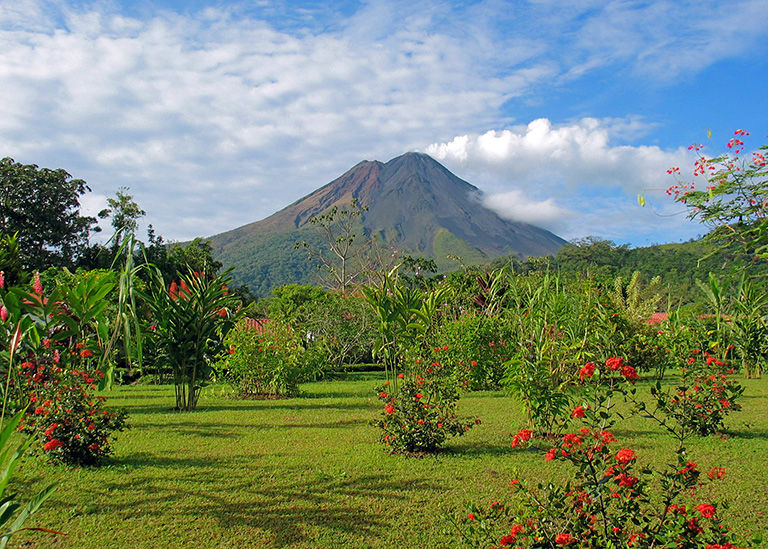 Lush landscape with a volcano in the distance.