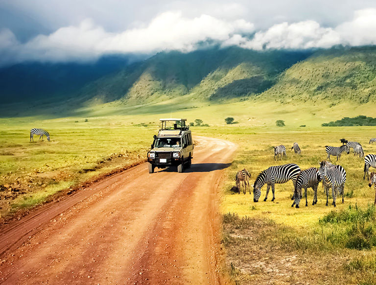 Safari vehicle crossing an African game preserve approaching a herd of zebras.