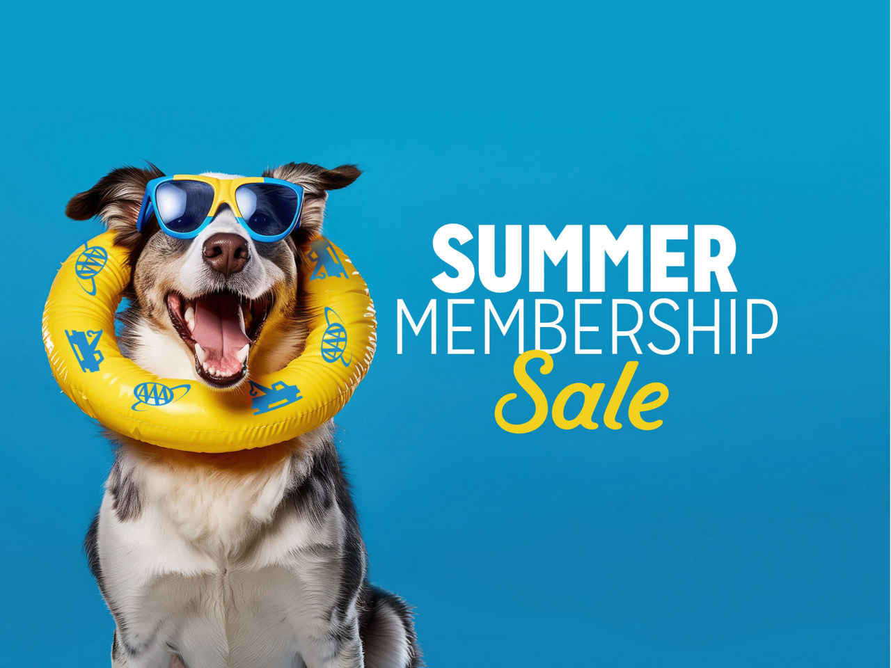 Summer Membership Sale