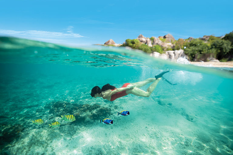 Norwegian Cruise Line, guest snorkeling