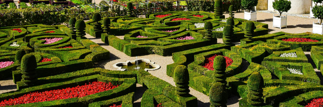 Hedged garden of the Chateau de Villandry 