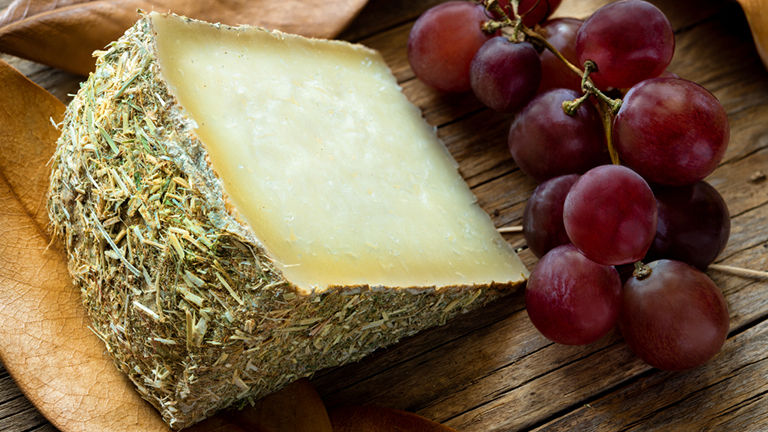 Cheese board with pecorino cheese with grapes.