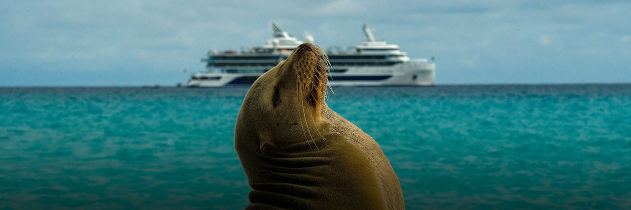 Galapagos Cruise Vacation Package